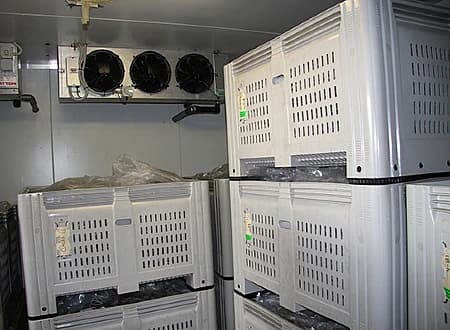 Cold Room Installation
