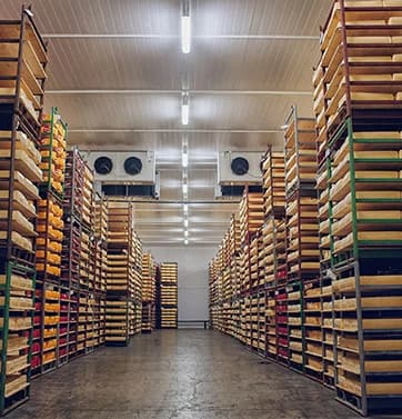 Understanding Public Sector Facility Challenges