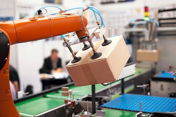 Packaging Machinery Integration Service