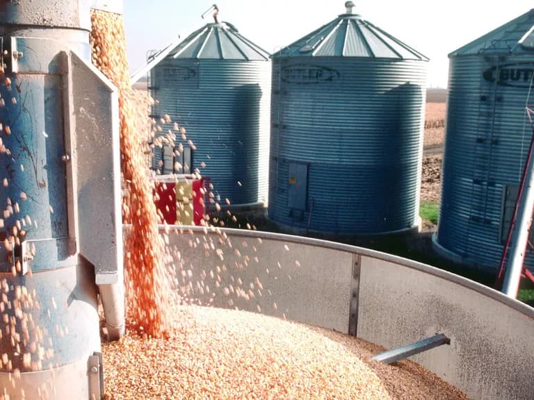 Understanding Agricultural Challenges