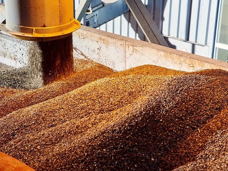Solar Energy for Farms